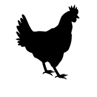 Carne de Aves 