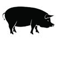 Carne de Porco